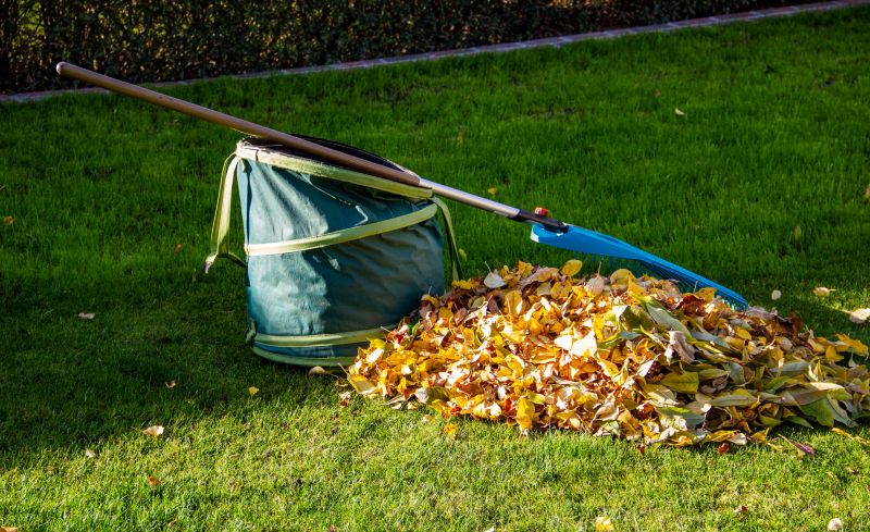 Leaf Collection at Property