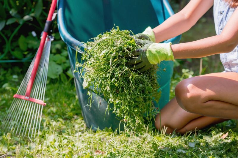 Contact About Lawn Clean Up Service