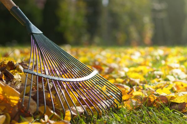 Leaf Raking Service in Danbury