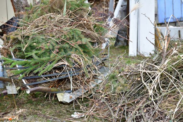 Cost of Yard Waste Removal Service in Danbury