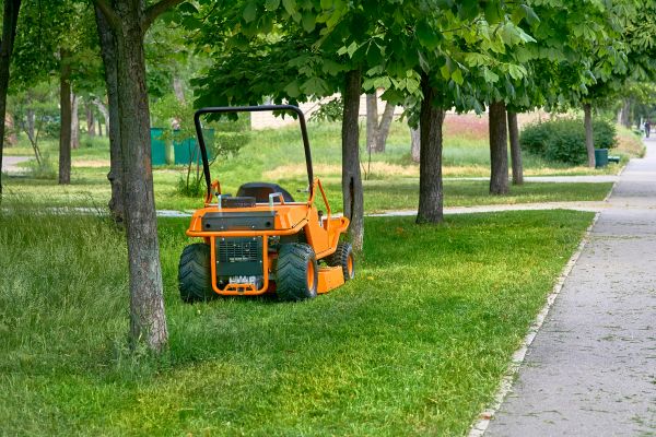 Landscaping Cleanup Service in Danbury