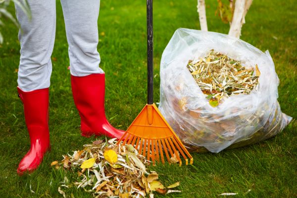 Leaf Disposal Service in Danbury