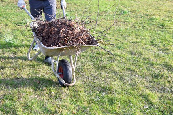Cost of Yard Brush Removal in Danbury