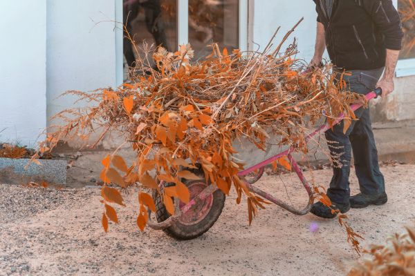 Cost of Lawn Debris Cleanup in Danbury