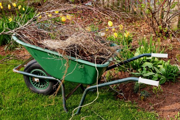Cost of Lawn Waste Removal in Danbury