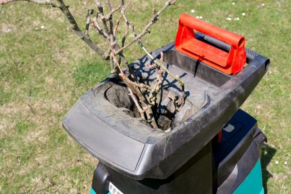 Cost of Brush Cleanup Service in Danbury