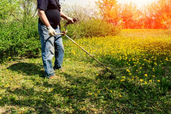 Yard Clearing Service in Danbury