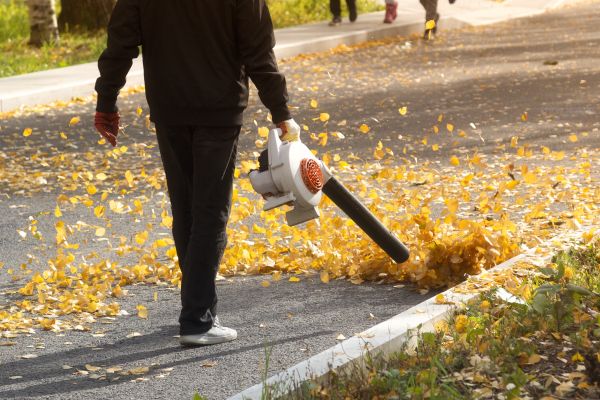 Cost of Commercial Leaf Removal in Danbury